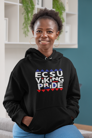 ECSU Viking Pride 90's Hoodie